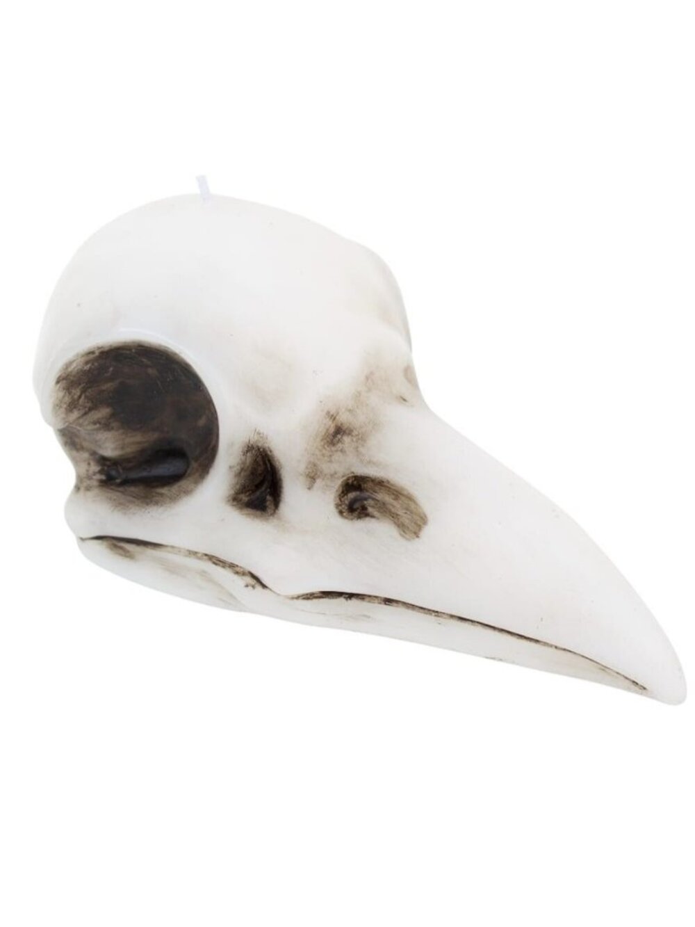 NWT Raven Skull Candle Halloween Decoration Goth Magick Hexmas Ashland Michaels